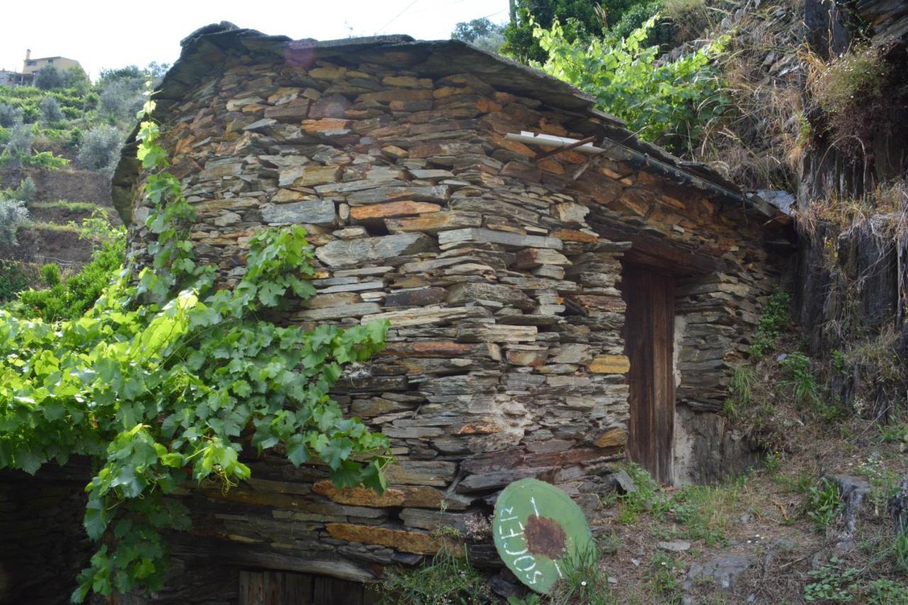 Casa Do Azereiro Villa Casal do Rei  Ngoại thất bức ảnh